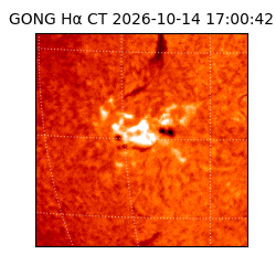 gong - 2026-10-14T17:00:42