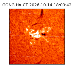 gong - 2026-10-14T18:00:42