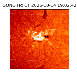 gong - 2026-10-14T19:02:42