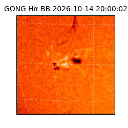 gong - 2026-10-14T20:00:02