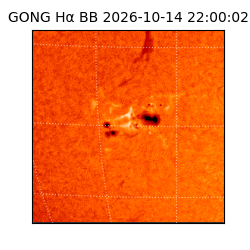 gong - 2026-10-14T22:00:02