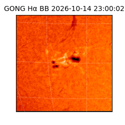 gong - 2026-10-14T23:00:02