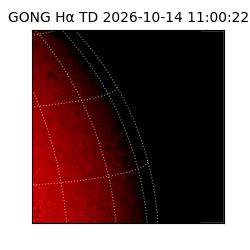 gong - 2026-10-14T11:00:22