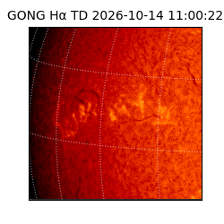 gong - 2026-10-14T11:00:22