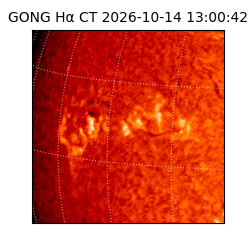 gong - 2026-10-14T13:00:42