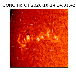 gong - 2026-10-14T14:01:42