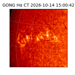 gong - 2026-10-14T15:00:42