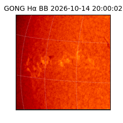 gong - 2026-10-14T20:00:02