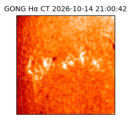 gong - 2026-10-14T21:00:42