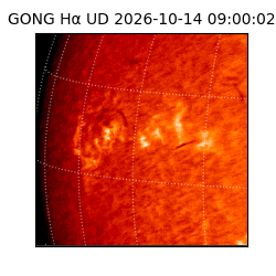 gong - 2026-10-14T09:00:02