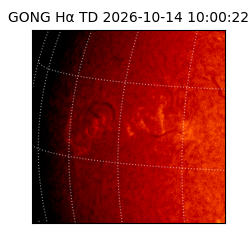 gong - 2026-10-14T10:00:22