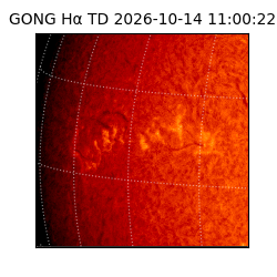 gong - 2026-10-14T11:00:22