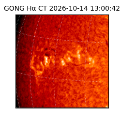 gong - 2026-10-14T13:00:42