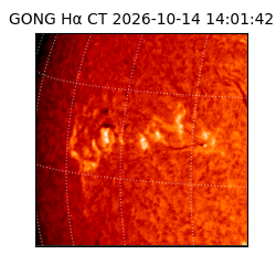 gong - 2026-10-14T14:01:42
