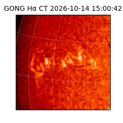 gong - 2026-10-14T15:00:42