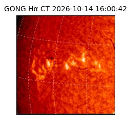 gong - 2026-10-14T16:00:42