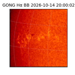 gong - 2026-10-14T20:00:02