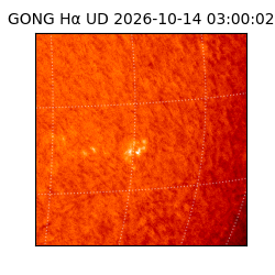gong - 2026-10-14T03:00:02