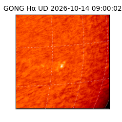 gong - 2026-10-14T09:00:02