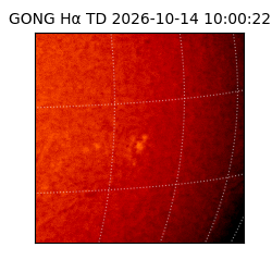 gong - 2026-10-14T10:00:22