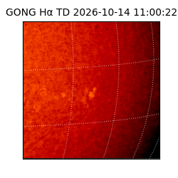 gong - 2026-10-14T11:00:22