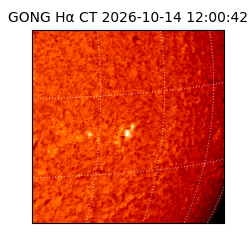 gong - 2026-10-14T12:00:42