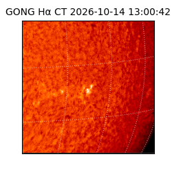 gong - 2026-10-14T13:00:42