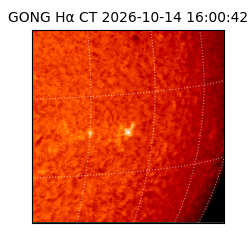 gong - 2026-10-14T16:00:42