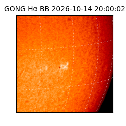 gong - 2026-10-14T20:00:02