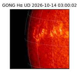 gong - 2026-10-14T03:00:02