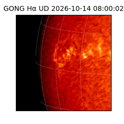 gong - 2026-10-14T08:00:02