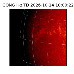 gong - 2026-10-14T10:00:22