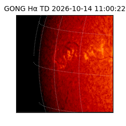 gong - 2026-10-14T11:00:22