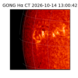 gong - 2026-10-14T13:00:42