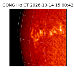 gong - 2026-10-14T15:00:42