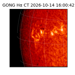 gong - 2026-10-14T16:00:42