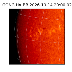 gong - 2026-10-14T20:00:02