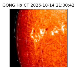 gong - 2026-10-14T21:00:42