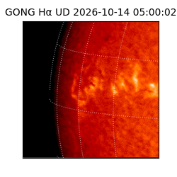 gong - 2026-10-14T05:00:02