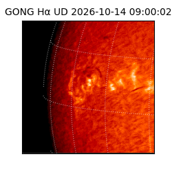 gong - 2026-10-14T09:00:02