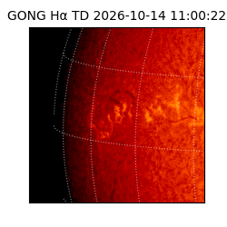 gong - 2026-10-14T11:00:22