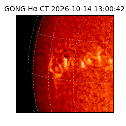 gong - 2026-10-14T13:00:42