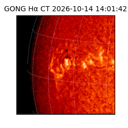 gong - 2026-10-14T14:01:42