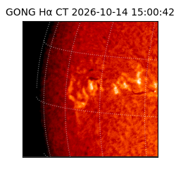 gong - 2026-10-14T15:00:42