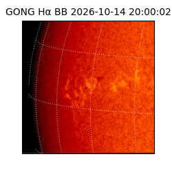 gong - 2026-10-14T20:00:02