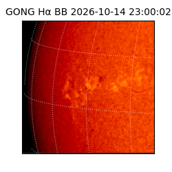 gong - 2026-10-14T23:00:02