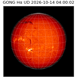 gong - 2026-10-14T04:00:02