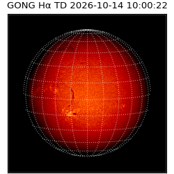 gong - 2026-10-14T10:00:22