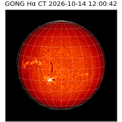 gong - 2026-10-14T12:00:42