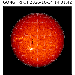 gong - 2026-10-14T14:01:42
